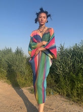 Load image into Gallery viewer, Issey Miyake butterfly pleats please dress rainbow gradient
